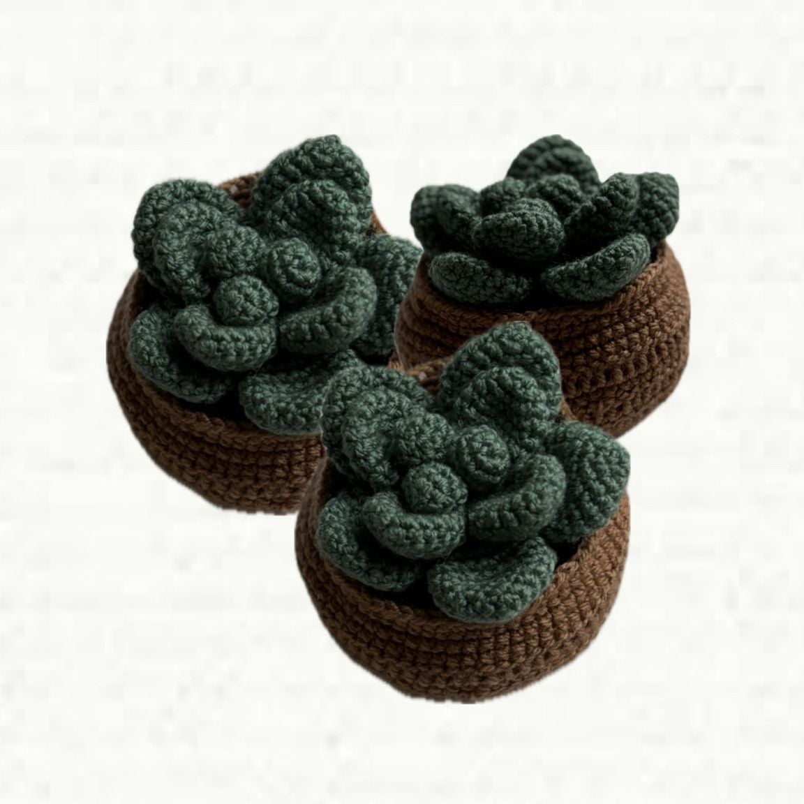 Three crocheted succulents in brown pots on a white background