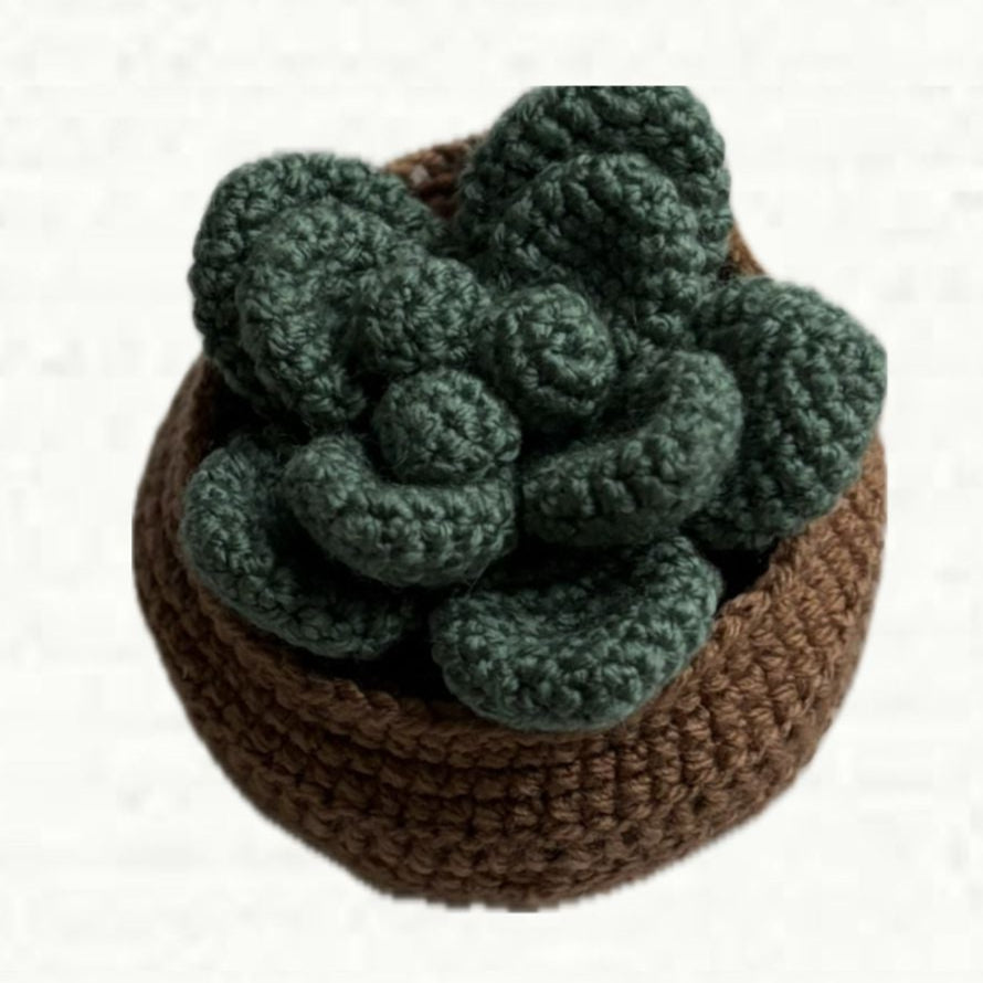 Crochet Succulent Plants