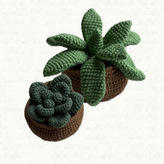 Crochet Succulent Plants