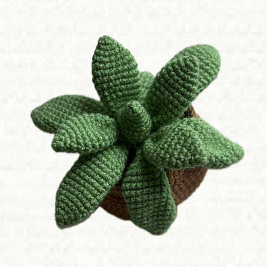 Crochet Succulent Plants