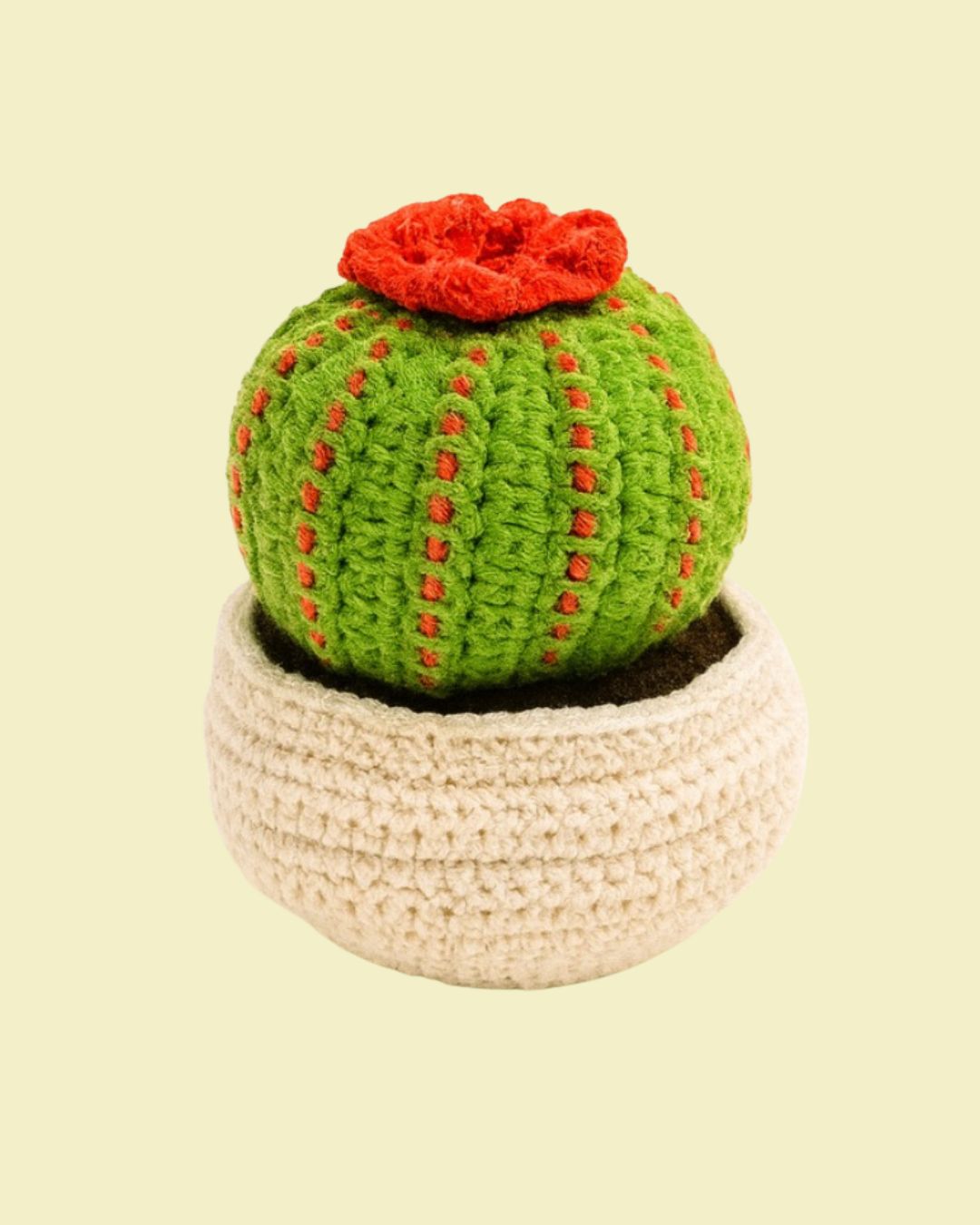 Cactus Flower