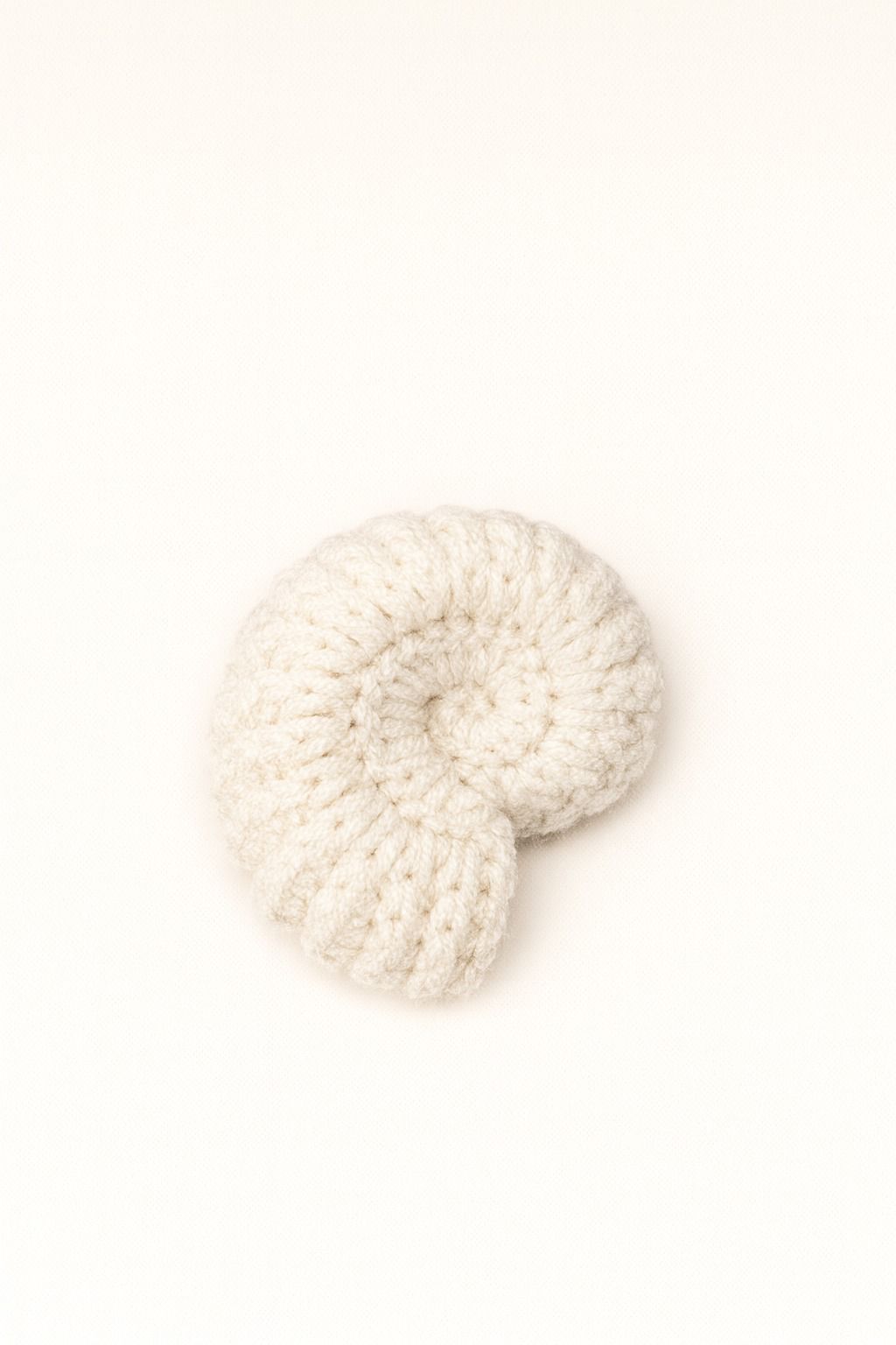 Spiral Seashells